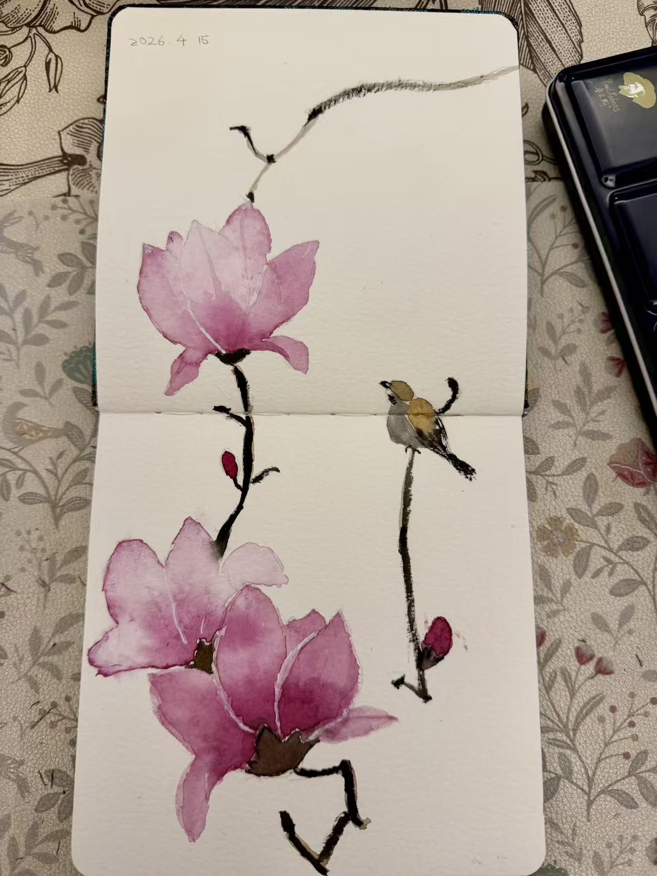 毛驴第二次上课画的，老师夸她太有天分了，比那些学一年多的画得都好。
最早看到毛驴