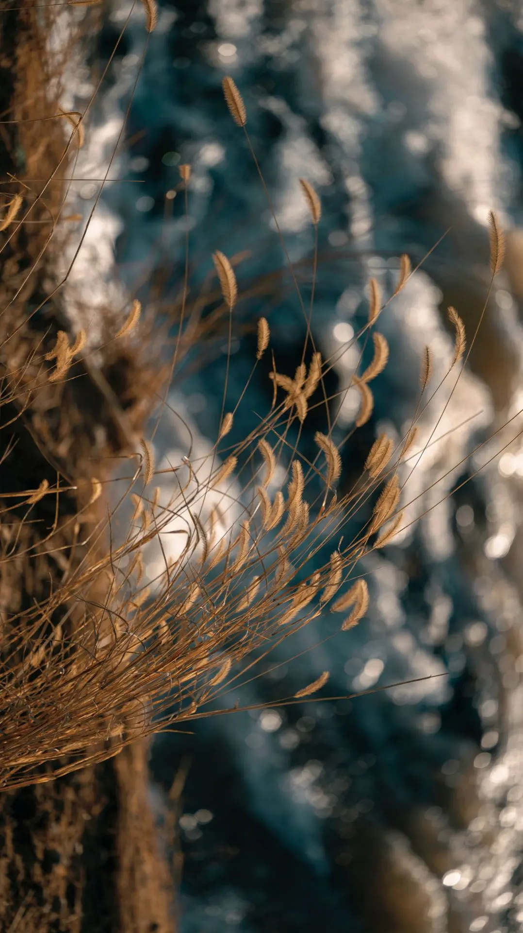 充满鲜花的世界到底在哪里。