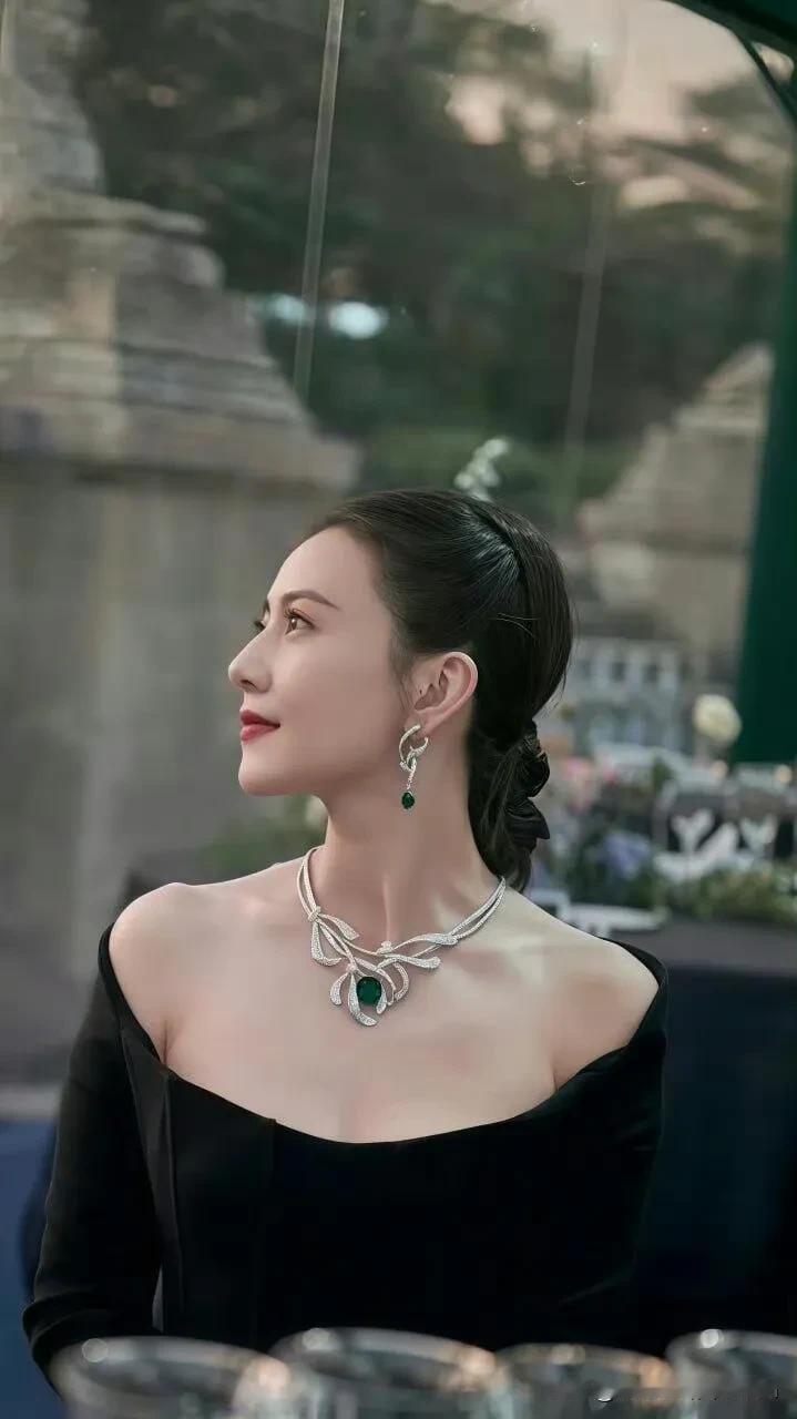 高圆圆优雅的黑裙，闪耀的珠宝，迷人的侧颜