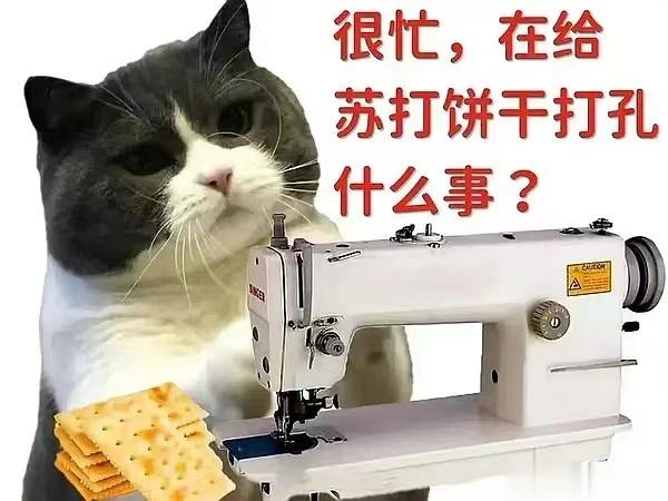 #国庆参加完23场婚礼我破产了# 这个十一我就蹭了一个河北的席（娃的同学的妈妈的