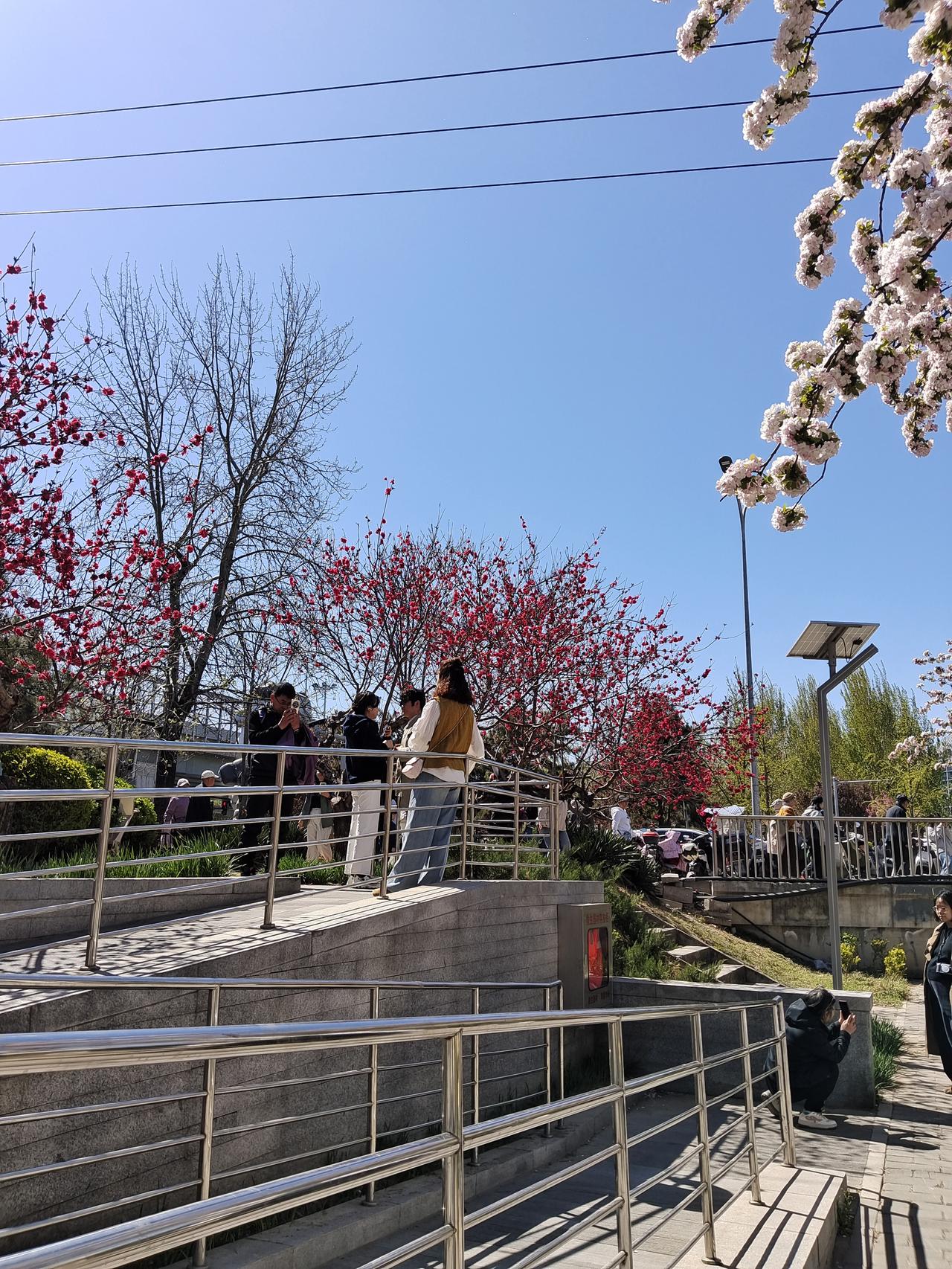 常常听人说找不到好保姆，可是我的一个老乡却在一个家庭里，连续干了十几年，送走了女