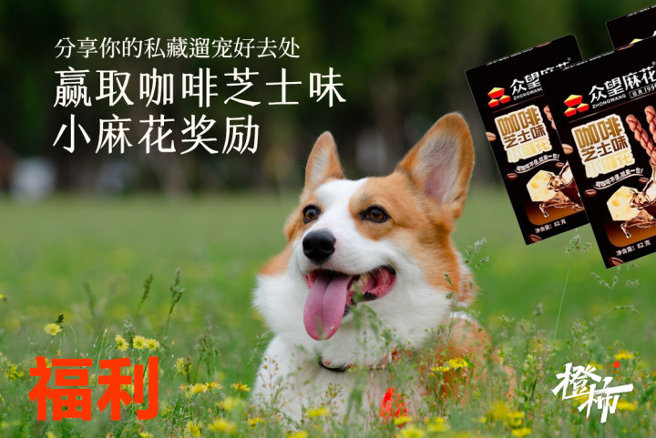 “五一”假期带毛孩子去哪儿？分享你的私藏遛宠好去处，赢取咖啡芝士味小麻花奖励！｜橙柿福利