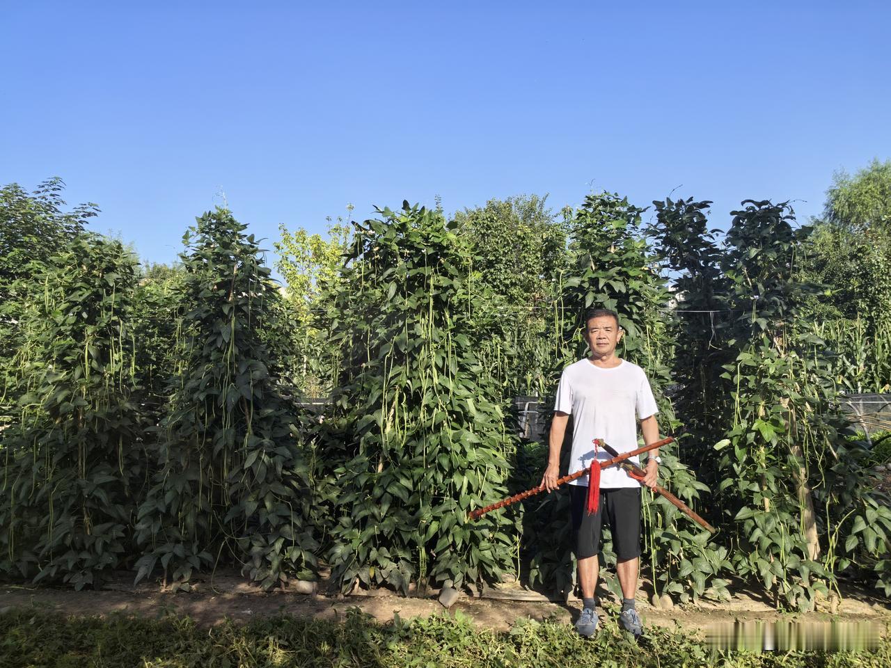 田园生活简直是都市人梦寐以求的诗与远方。清晨，伴着鸟鸣起床，推开窗就是清新空气和