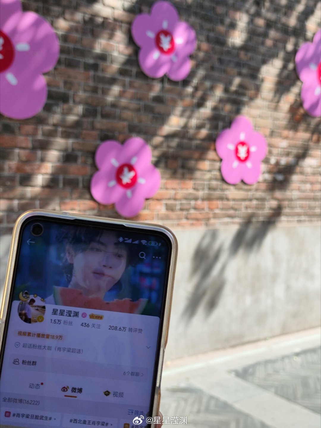 肖宇梁 🐟肖宇梁未来可期 🐟肖宇梁氛围感 肖宇梁同款景点打卡