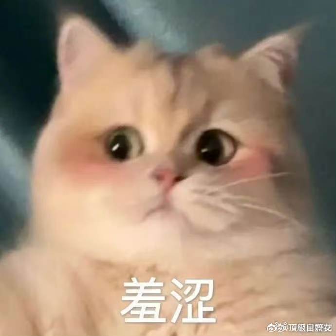 当你总觉得自己没见过世面 你习以为常的日常，是别人遥不可及的远方。 ​​​