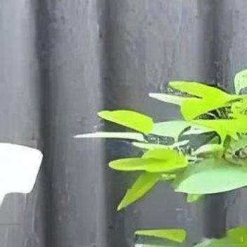 多希望我只是个孩子，给颗糖就笑，摔倒了就哭，不用伪装，不用压抑自己的心情 