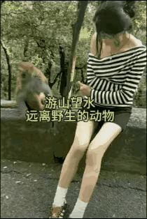 小姐姐去景区游玩，在爬山的途中遇见一只猴子蹲在防护栏上。好奇的小姐姐坐到猴子身边