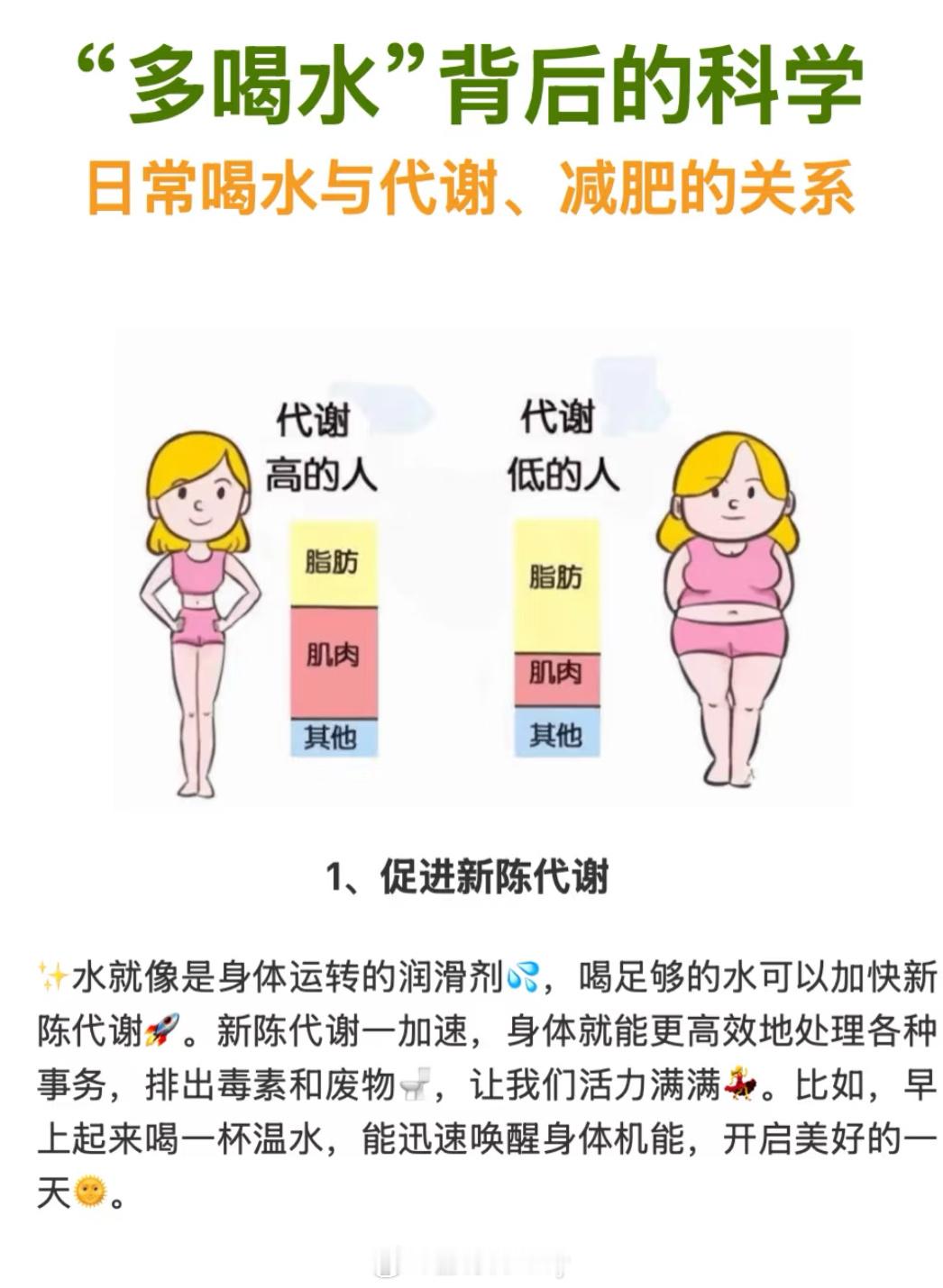 多喝水背后的科学日常喝水与代谢、减肥的关系 