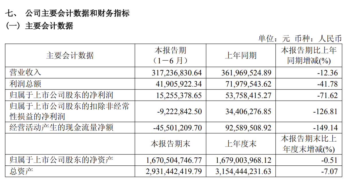 上海电影发布2026年半年度报告。公司在上半年产生3.17亿元营业收入，盈利31
