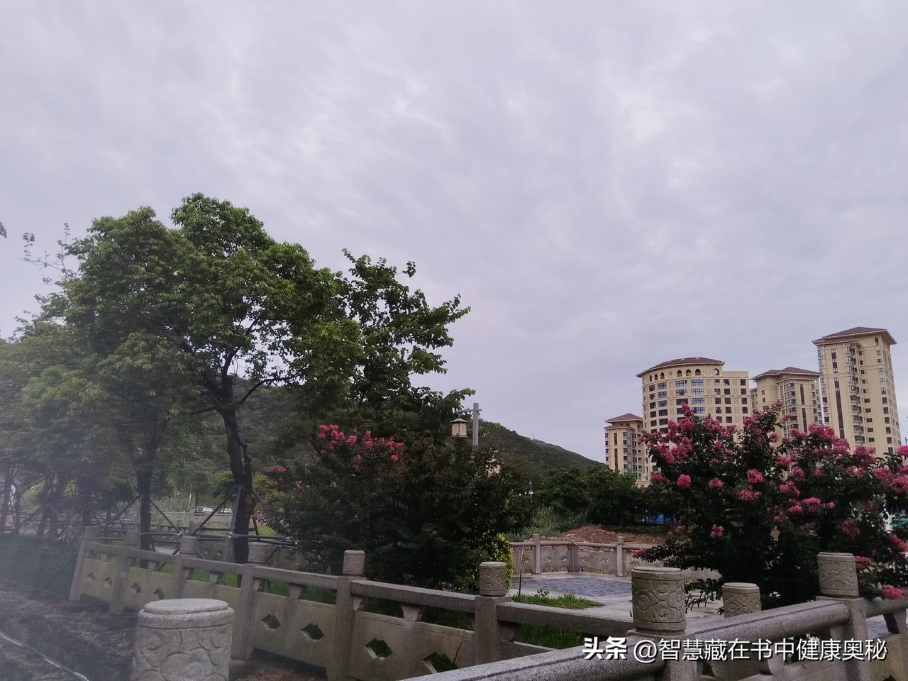 早安！新的一天从新开始，活力满满上班打卡了！

清晨六点半，闹钟如约响起。我没有