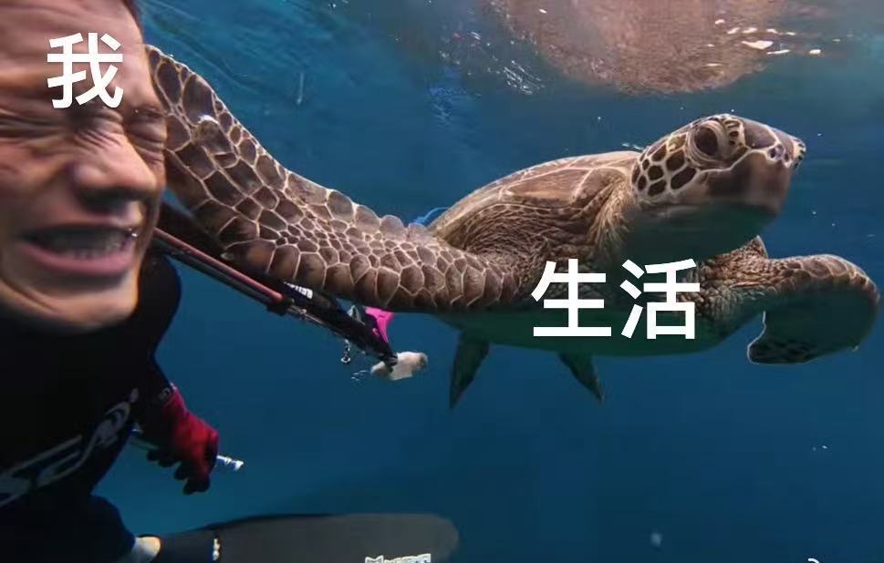 被海龟扇一巴掌🐢：挨最痛的巴掌 埋最深的回忆。 