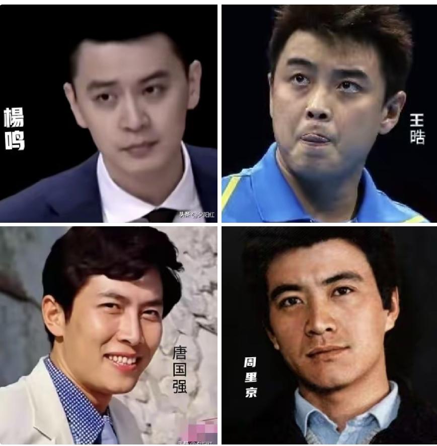 文体界被大家公认的四个美男帅哥，哪一个才算得上真正的美男子。先说杨鸣，杨鸣一直被