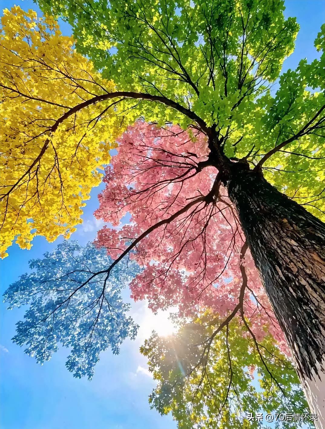 途程缓缓，莫把归期盼。
且趁风清观晚雁，不负今朝清晏。
勤耕不问前缘，闲看云影悠
