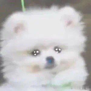 #原来父爱是我们人生里宝贵的福气# 父亲的爱是那份无言的守护，是那份永恒的支持，