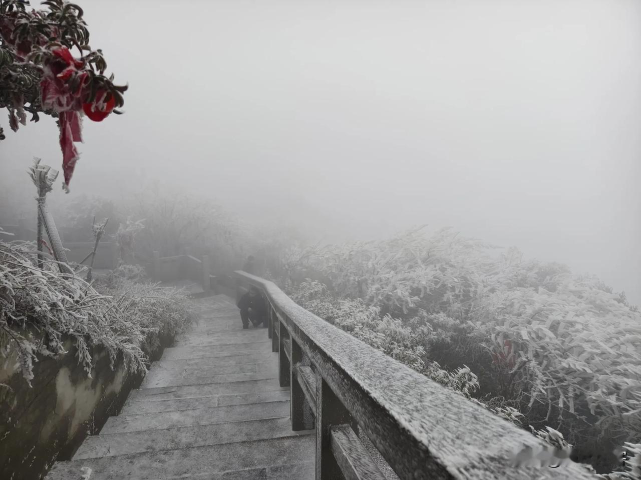 离重庆主城区最近能看雪的地方，就在渝北区和广安交界处，这就是华蓥山宝鼎光明寺，是