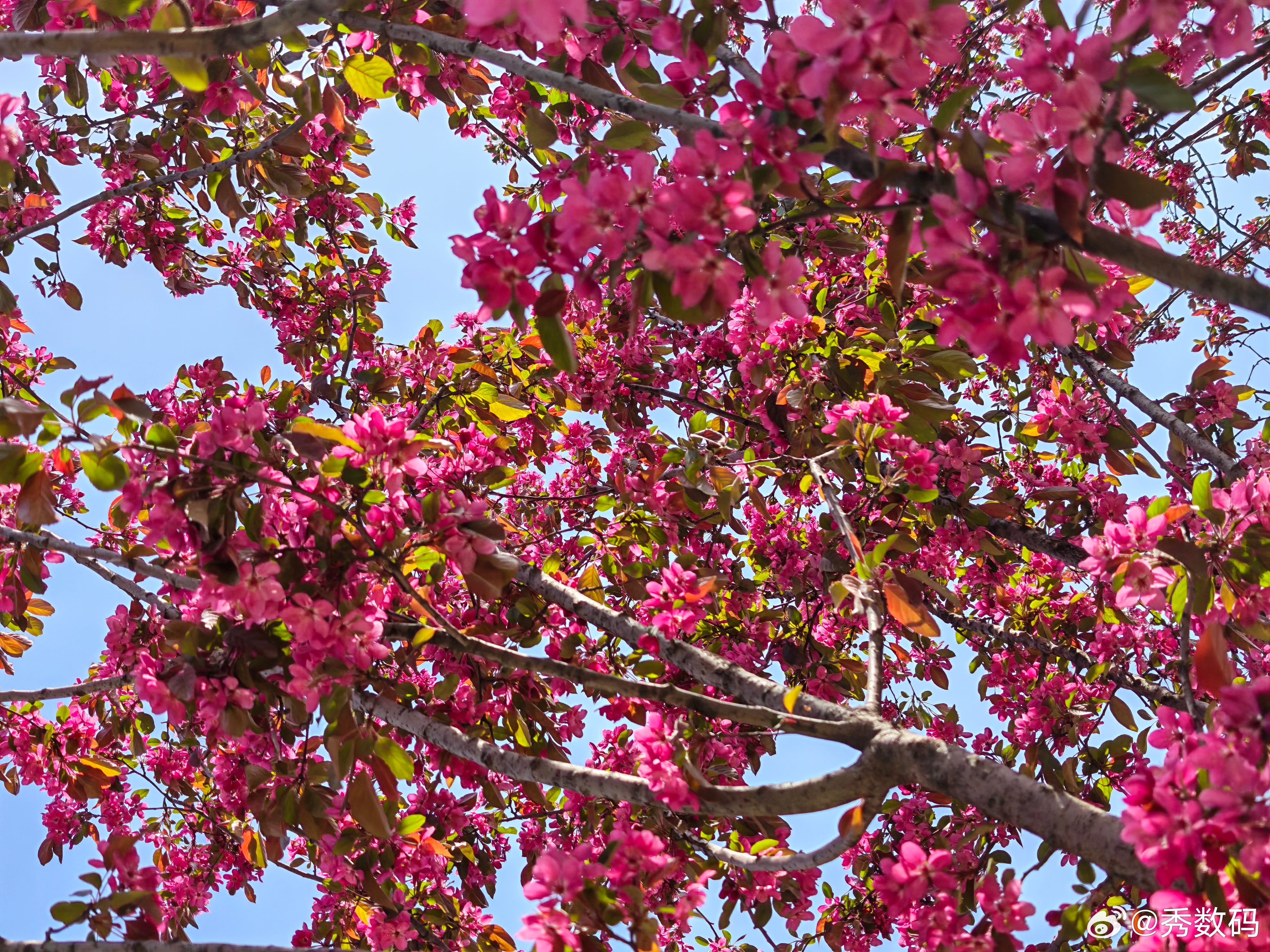 此时此刻，兄弟们有没有出去玩？去哪里玩了？ 