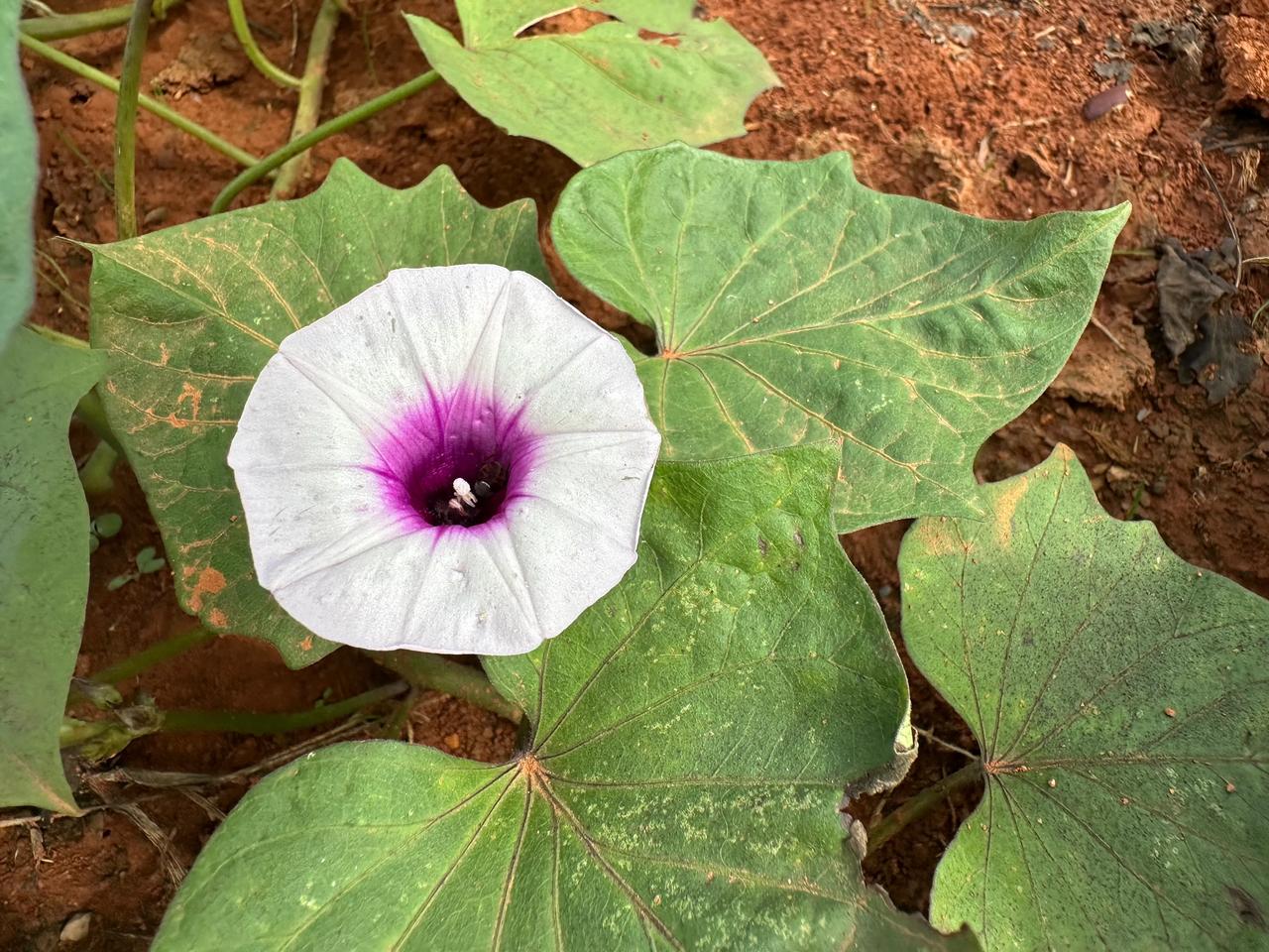 “老人家对你们防得这么到！到现在还不把存折密码告诉你们？”

血透室外面的长廊座