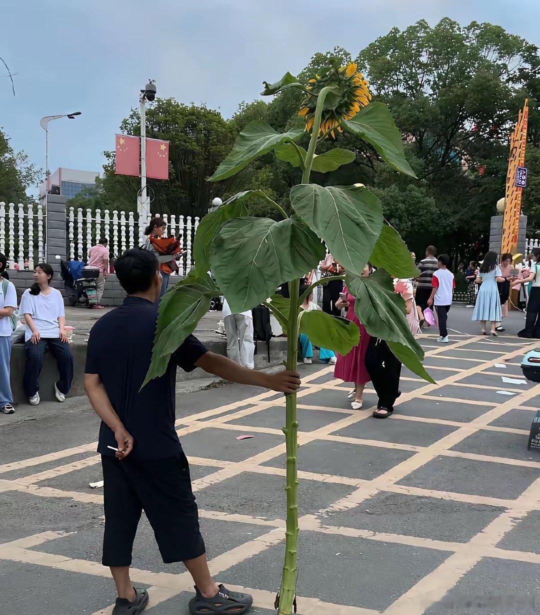 6月8日，高考第二天。下午考英语，17：00结束。考场结束后，你会发现：今天的两