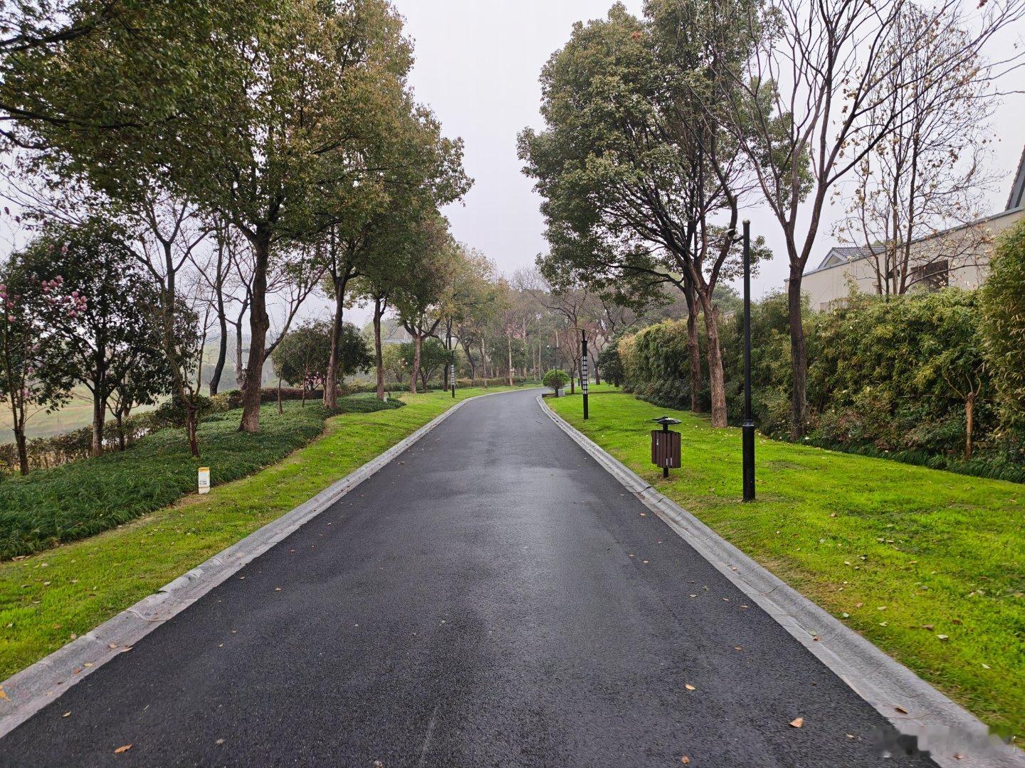 阴雨杭城 杭州·西溪国家湿地公园