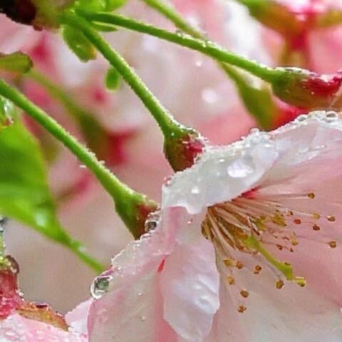 阳光信用  💫阳光信用  💫每日一善人生在世，委屈辛酸都是难免的。越是低谷的