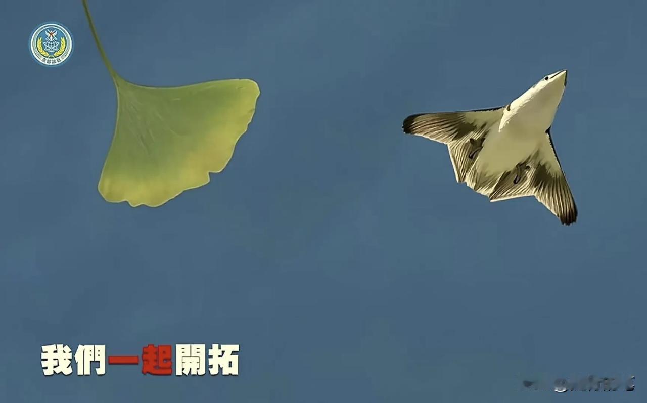 看看这次还有谁质疑，东部战区新年MV这张图已经非常明显了。

两架六代机试飞画面