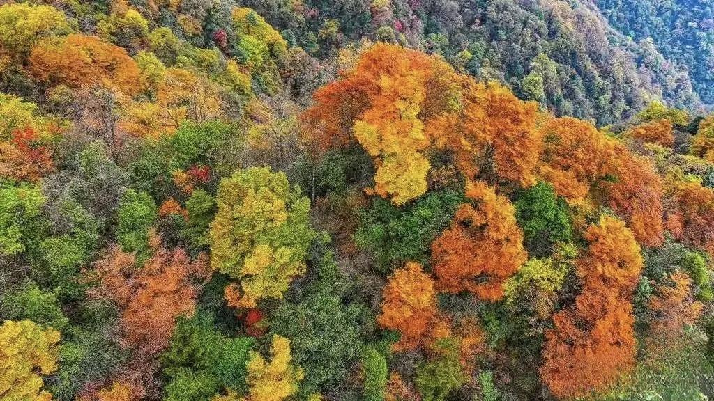 【人到一定的年龄，便没兴趣在乎自己在别人眼中的定位，只想跟懂自己的人说一声，幸会