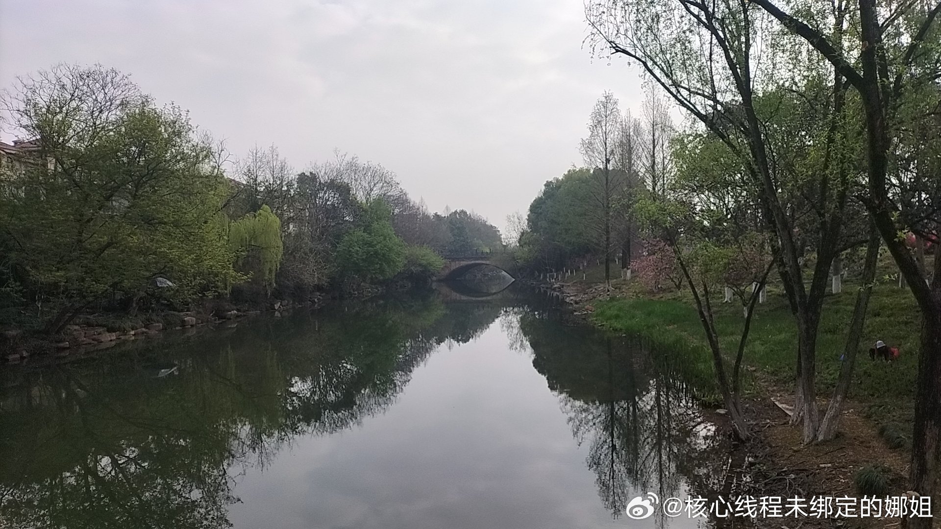 早上骑车突然下雨，昨天儿子说电动车股票会涨，九号电动车这么贵还上了科创板，厉害 
