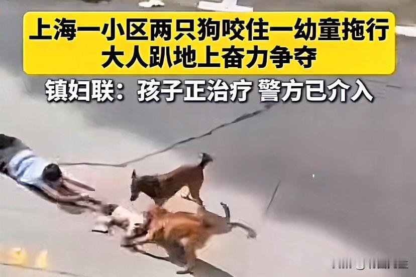 上海，青浦区，幼童被两只狗拖拽撕咬！

男子马某饲养的两只狗窜入小区，扑倒一名幼