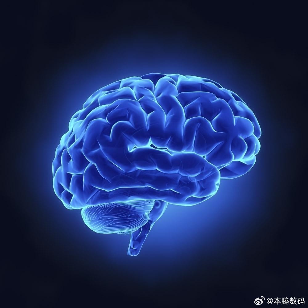 脑机接口想干的事儿，剥掉所有花哨包装，就一条——把这根管子拓宽。PRIMA是头一