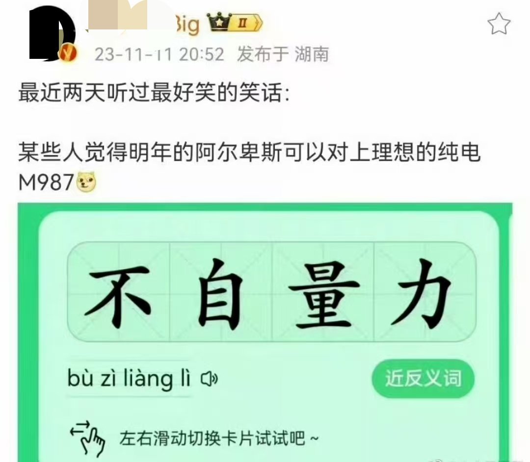 贵圈回旋镖好多，阿尔卑斯就是乐道的项目名称。如今看起来，预言成真了，撞卡车方面不