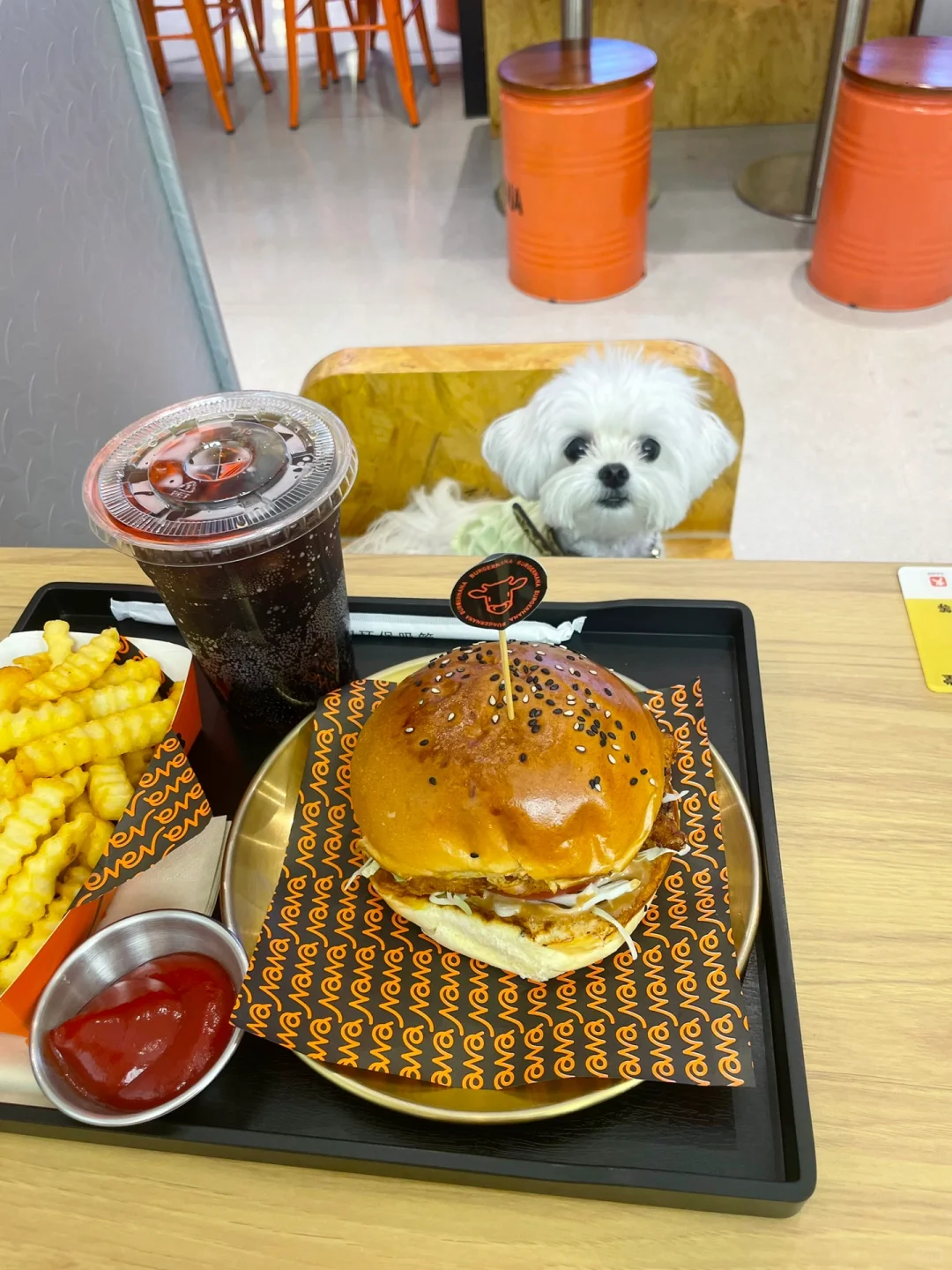 让我看看你们的饭搭子
