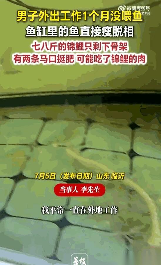 推开门的那一秒，我整个人麻在原地。
鱼缸底端端正正摆着一副白森森的鱼骨架，剔得比