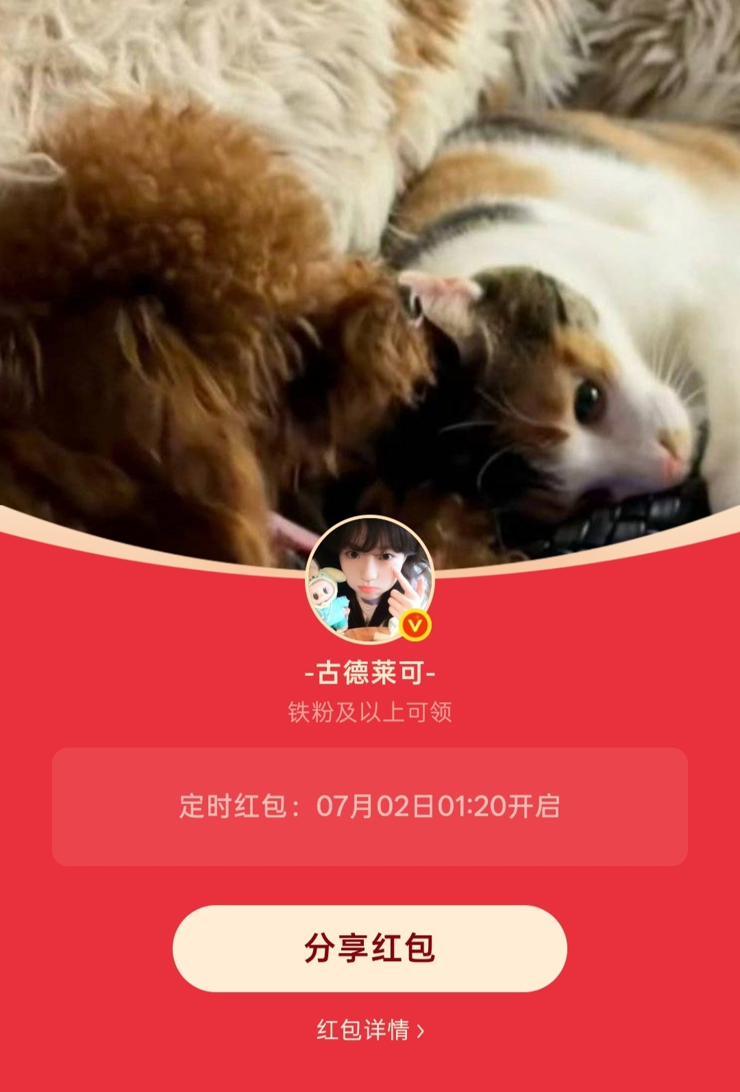晚安💤 