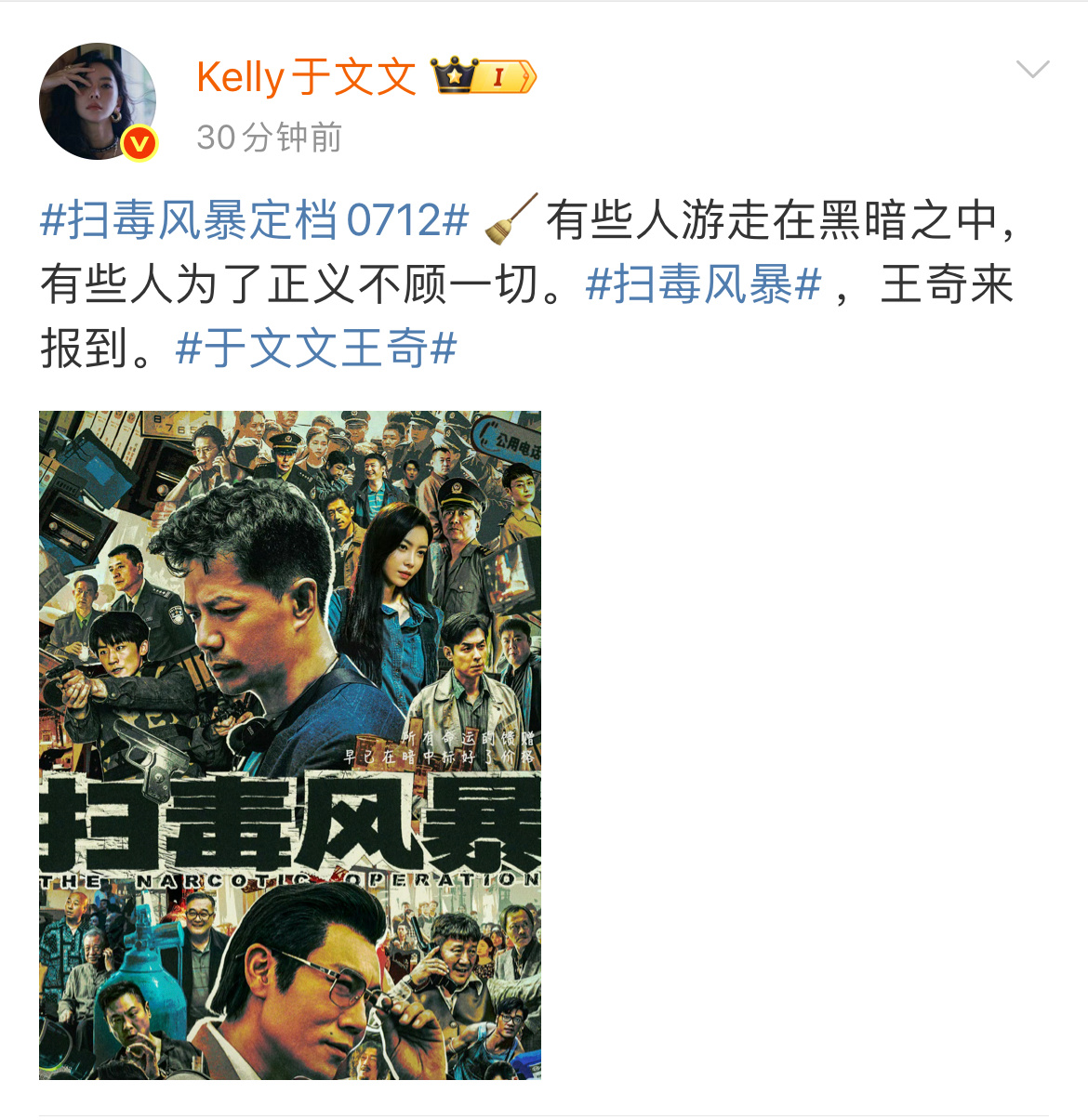 于文文说有些人为了正义不顾一切于文文王奇来报到于文文扫黑风暴定档0712，王奇来