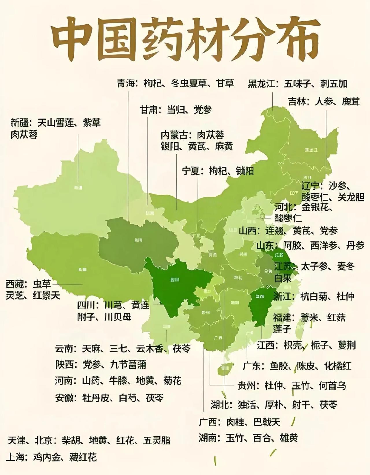中国药材分布（区域）