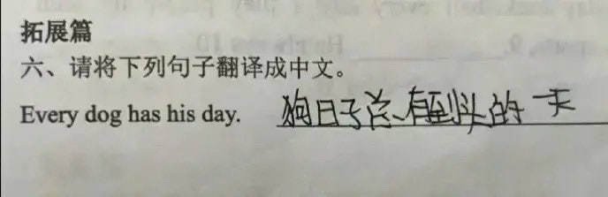 狗日子总有到头的一天 ​​​