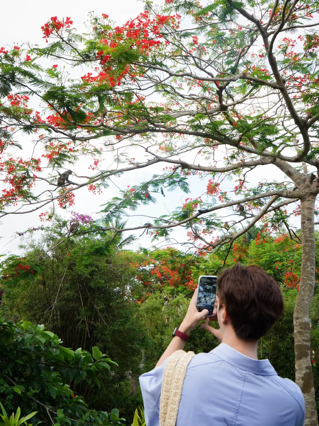 嗯？树上有什么😲