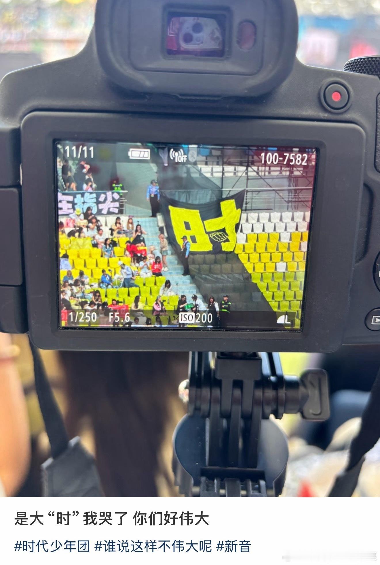 发现大米爆的踪迹TF家族新音