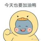 慵懒丑丑猫