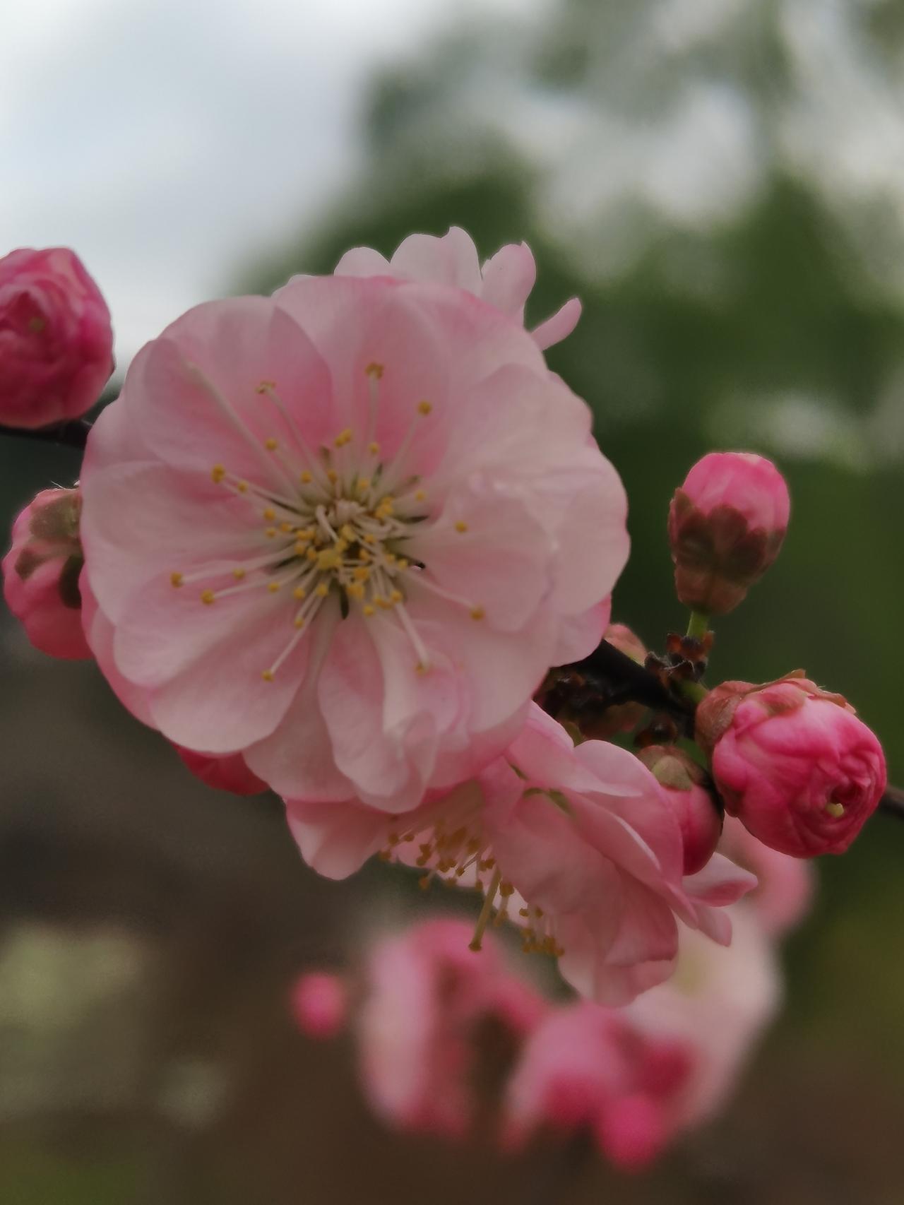 你家的早餐都是在家做还是出去吃在家做：在家做卫生又营养，还省钱而且大早上也懒得出