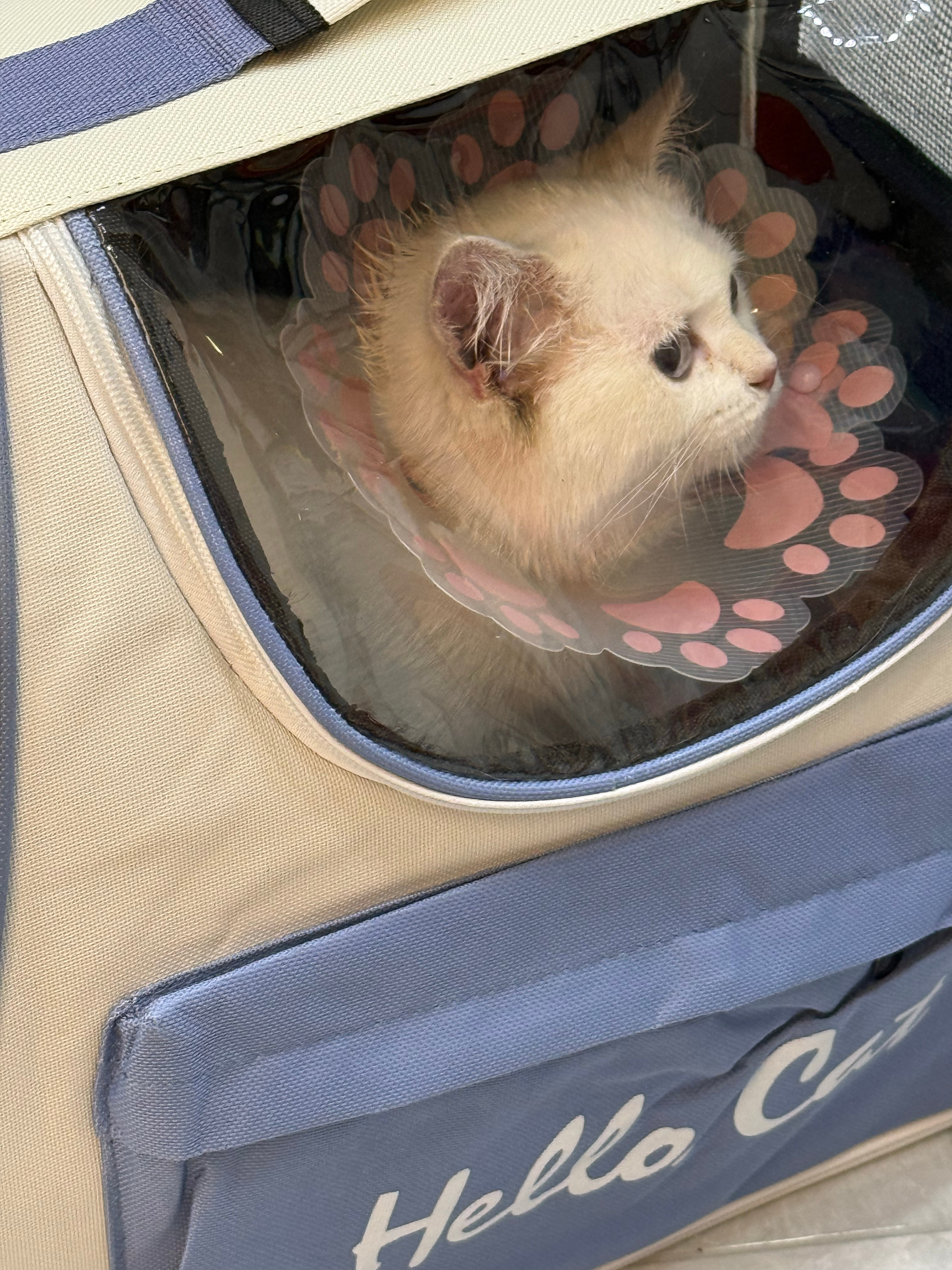 分享图片 