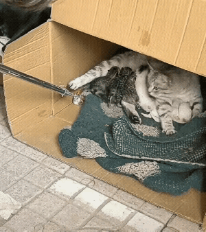 看完心酸。母爱是无法超越的，也是最无私的爱！