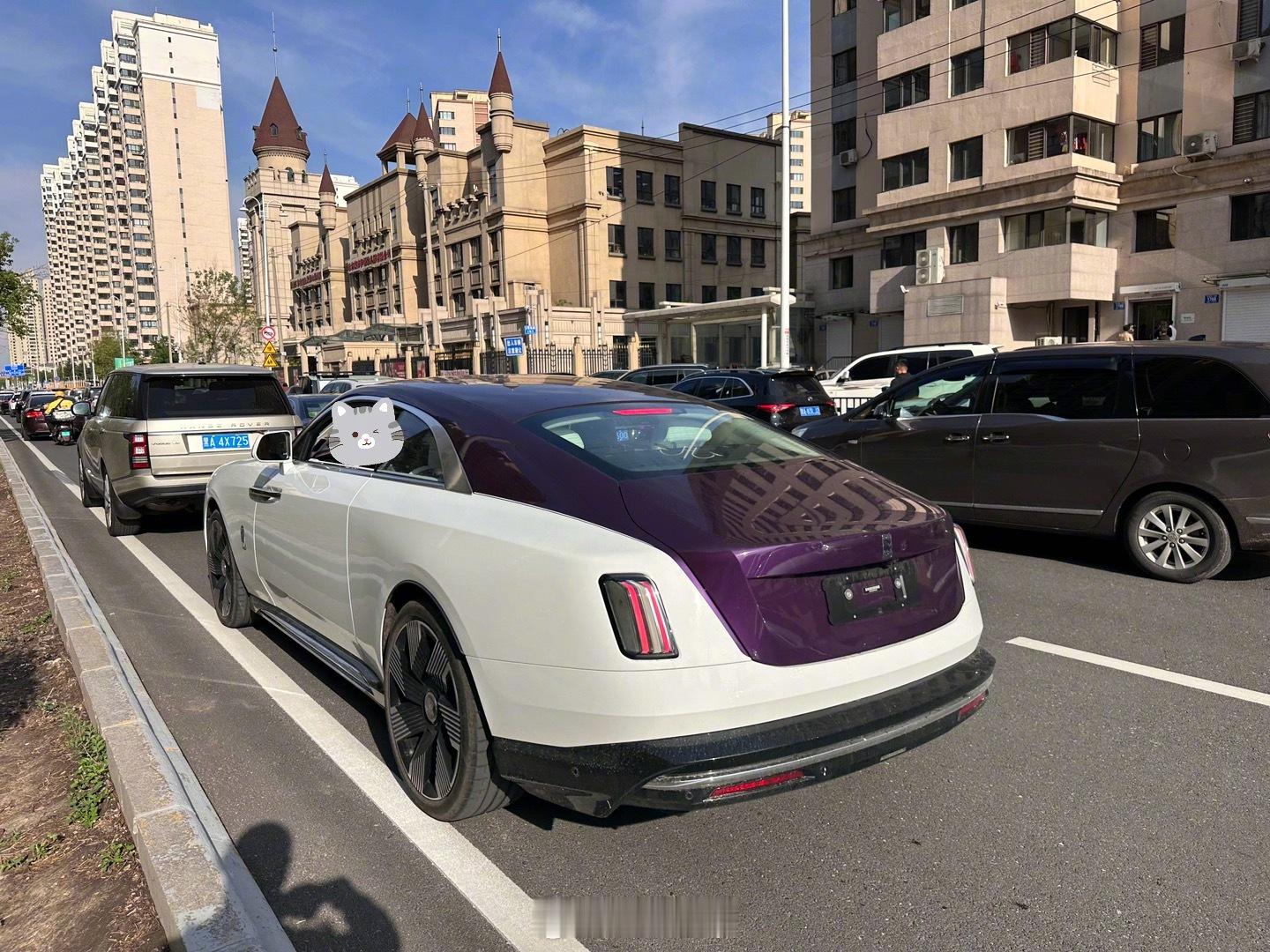 还得是大哈尔滨啊，最贵电动车劳斯莱斯闪灵上路，还是两台  #东北电吹# ​​​