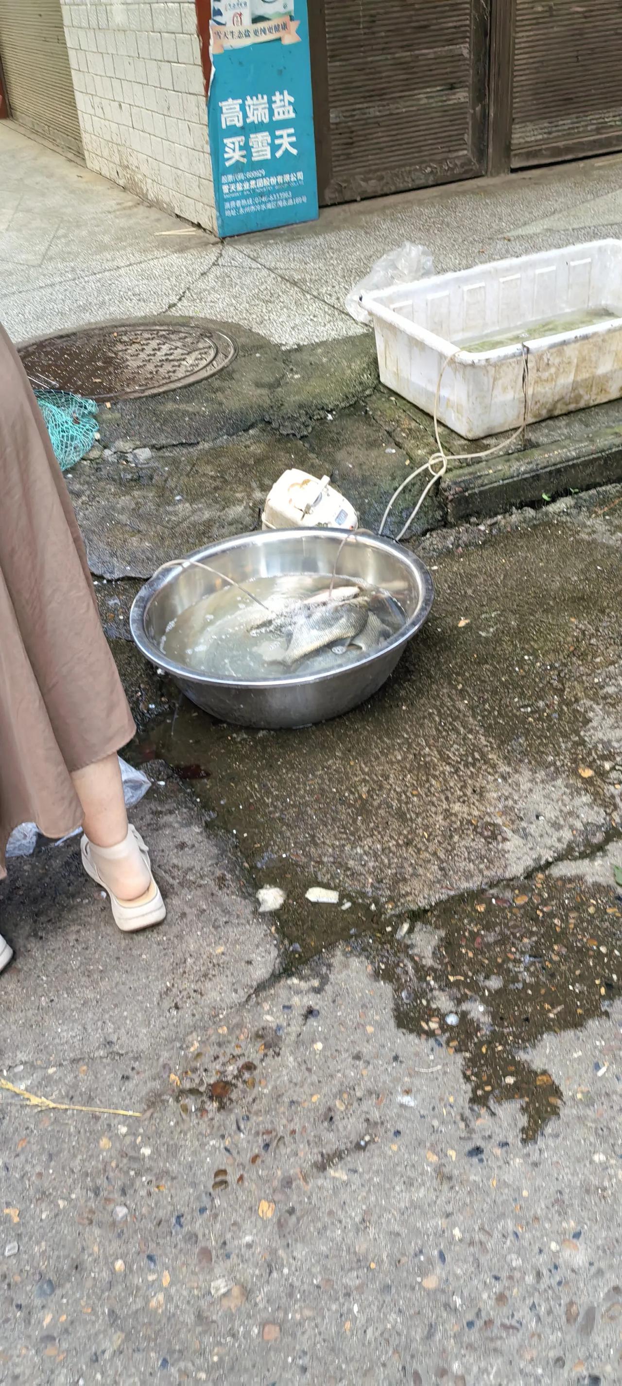 小区里的大市场  
清晨4点多，鸡鸭的叫声，摩托车的轰鸣声，声声入耳。这里是鸿都