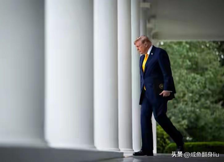 西方国家迫使俄罗斯屈服的战略已经失败，所以特朗普选择了怀柔，你看看这次特朗普总统