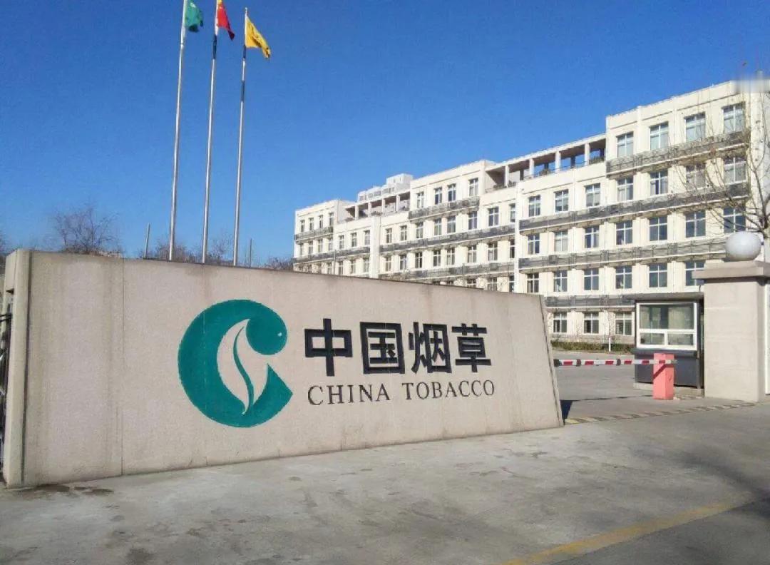 “真是让人难以抉择啊！”贵州一位女硕士研究生说道，省烟草局提前录取了她，但她却感