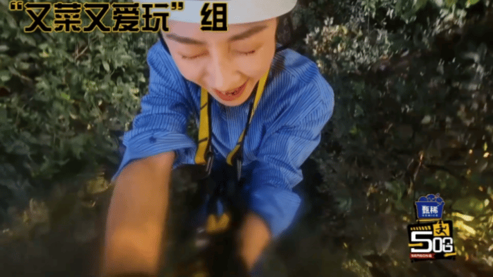 陶昕然徐梦洁官宣五哈陶昕然徐梦洁参加浪姐前就认识了 陶昕然徐梦洁空降五哈，跟李乃