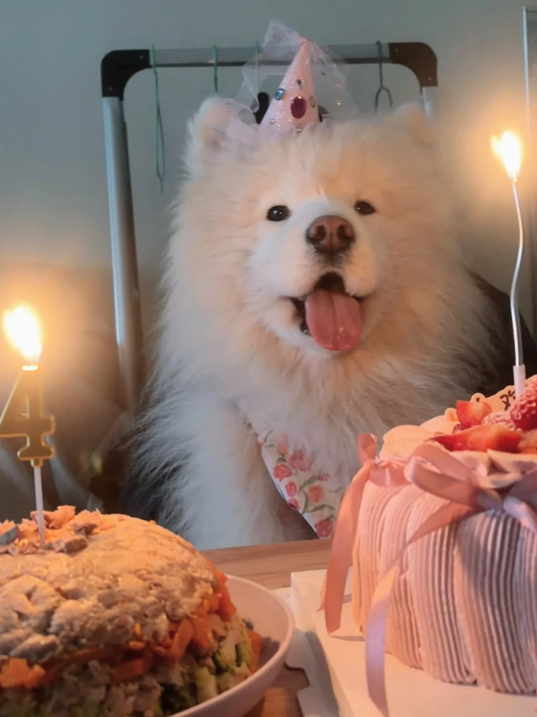 漂亮宝宝生日快乐