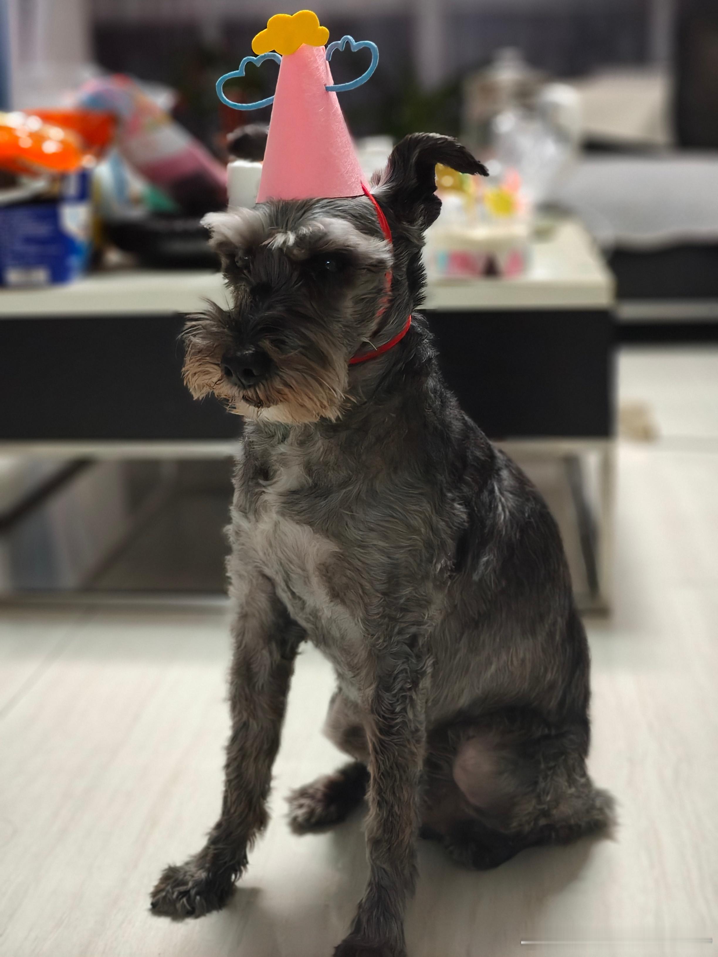 最重要的是你平安无事 