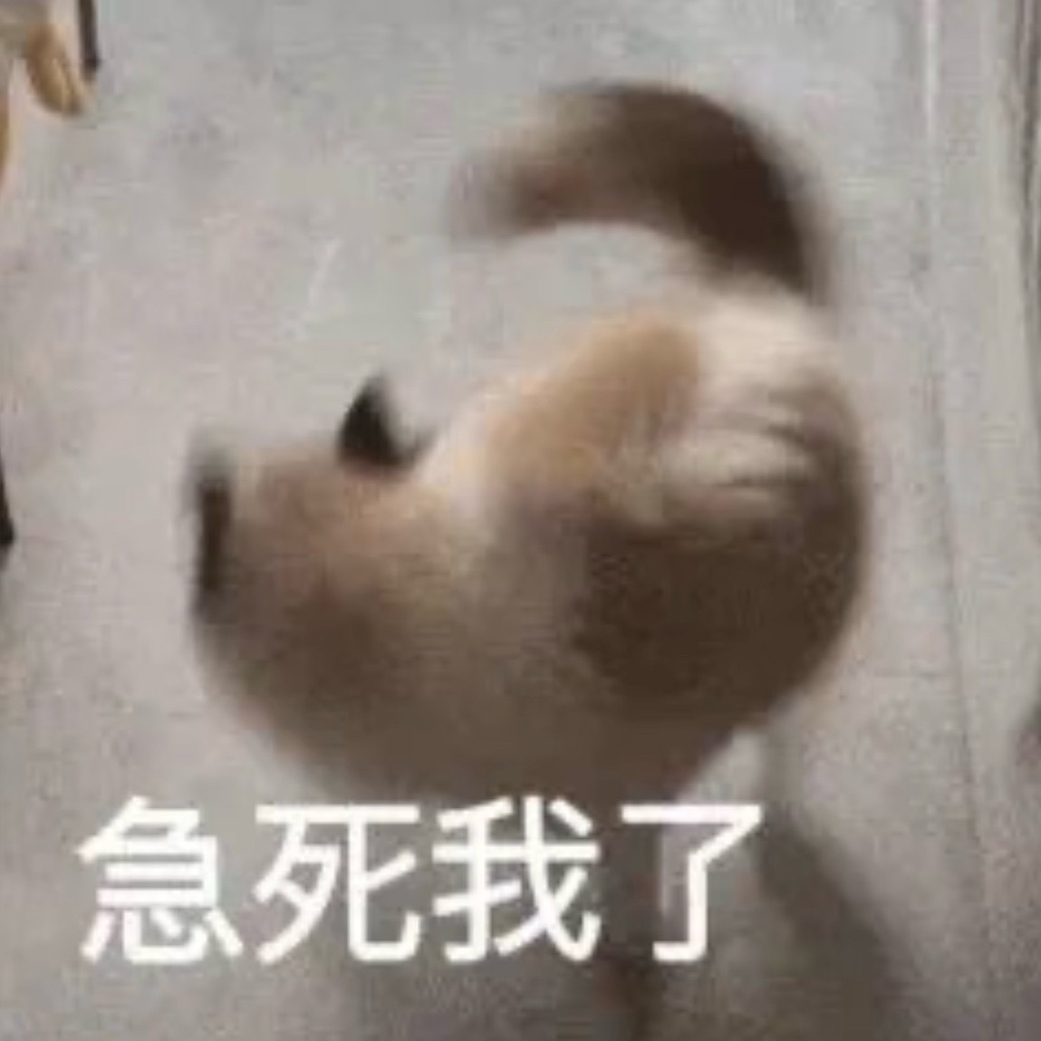 怎么还没有人给我发kudos<3 